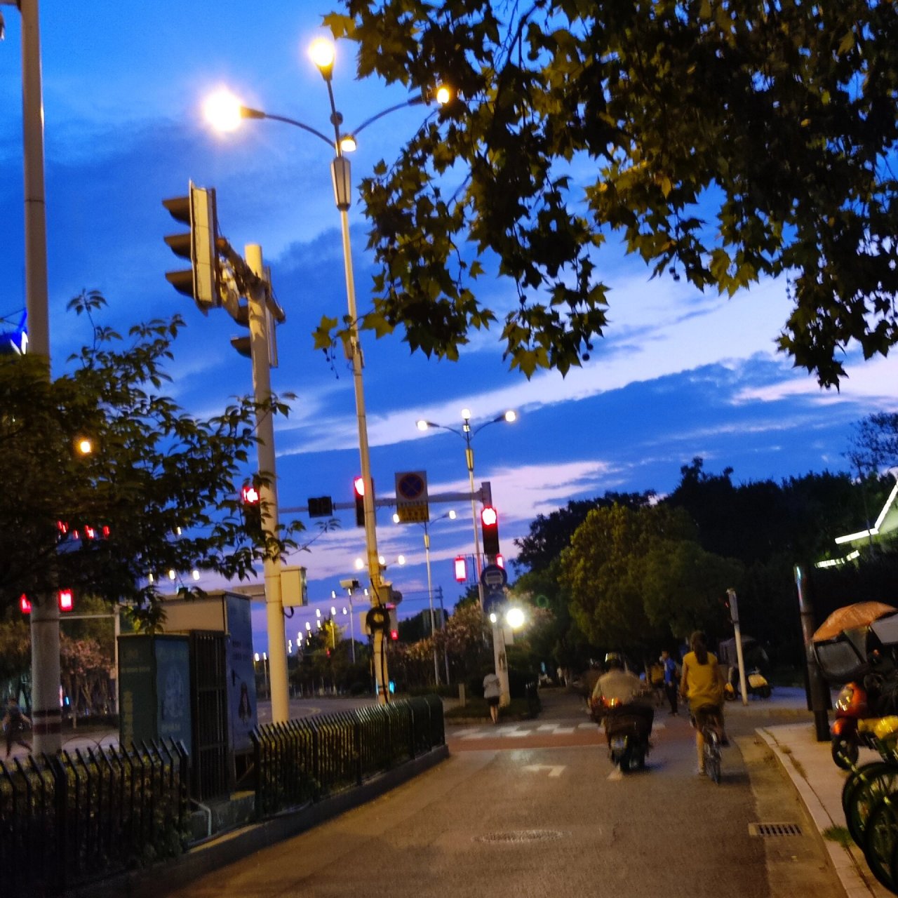 镇江的夜景——江滨晚游 这个路口的路灯和红绿灯很密集呢 进入夏天