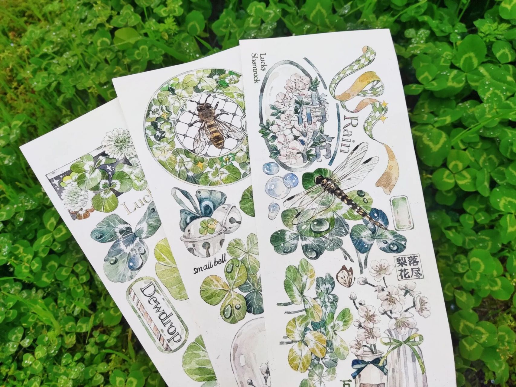 给你们看一只被pass掉的大马蜂