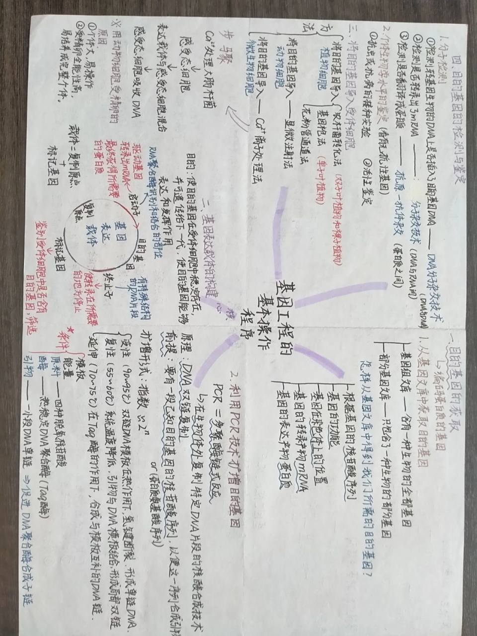 高中生物|选修三·基因工程思维导图97 93  前几天为复习整理的