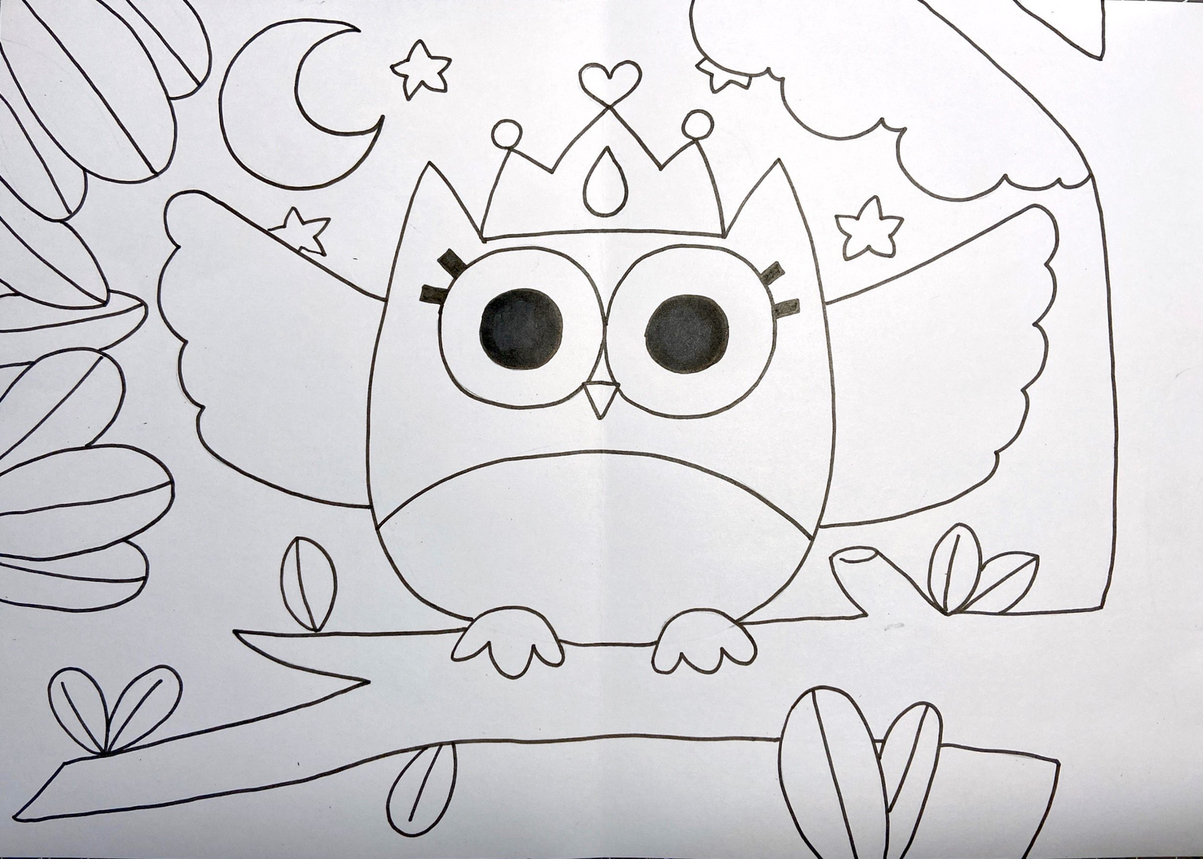 猫头鹰儿童画01马克笔夜景小鸟 森林简笔画 美术宝 华丽的猫头鹰 爱