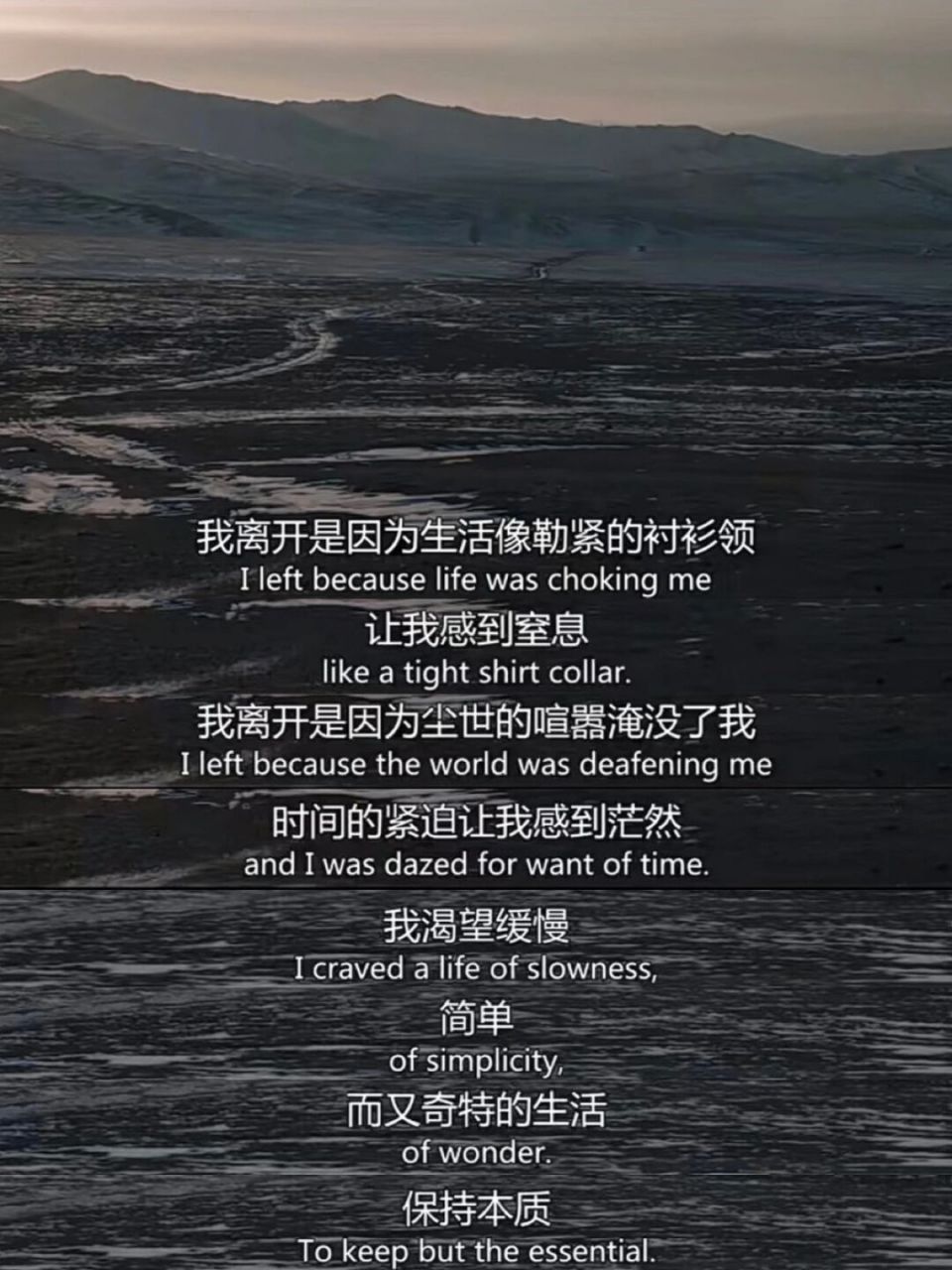 电影《在西伯利亚森林中》—请慢下来,放轻松 这部电影的画面真的太美