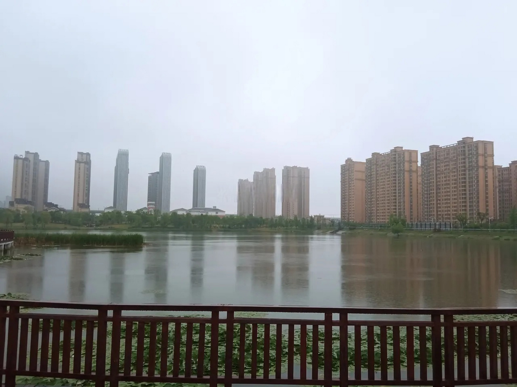 肥西桃花潭公園雨中景色