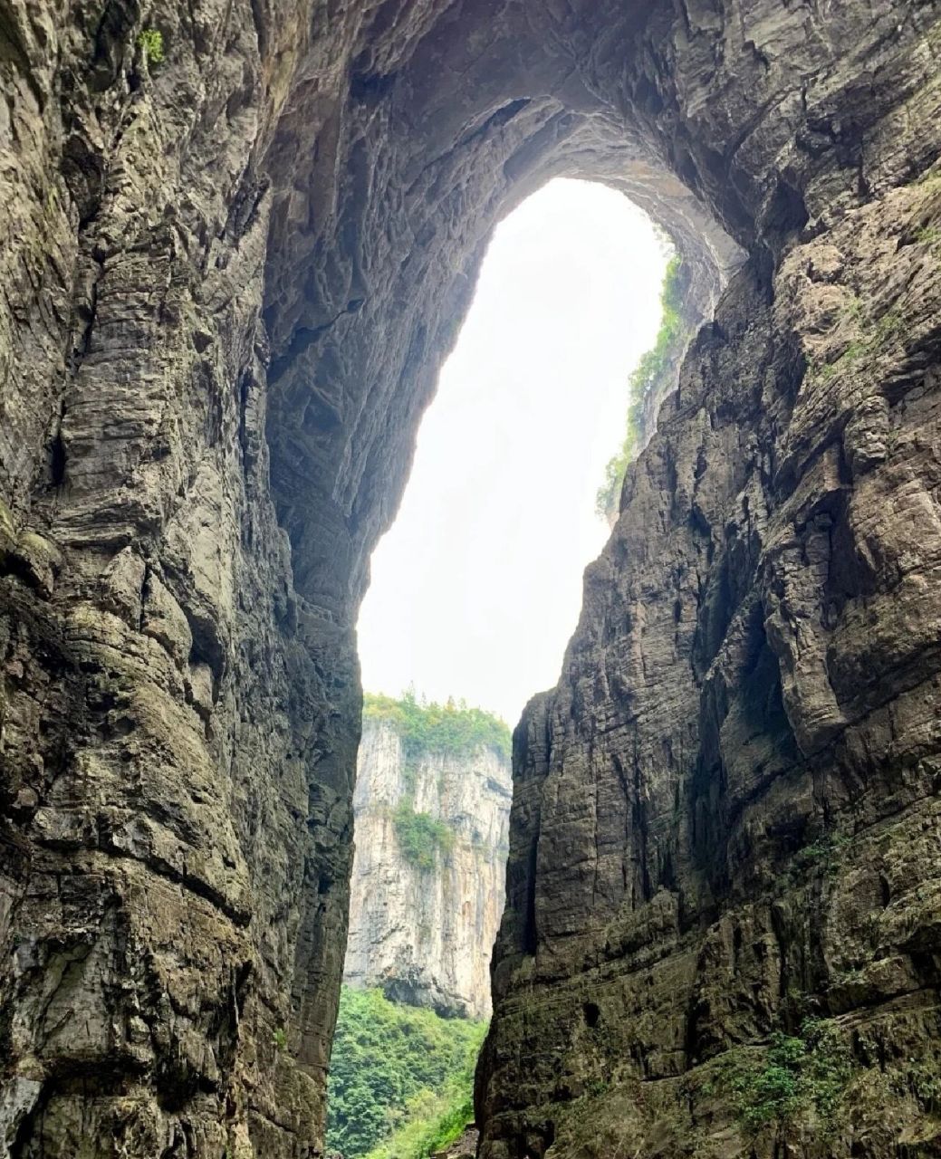 重庆武隆天生三桥--仙女山一日游 第四次来重庆,这次有点不一样的意义