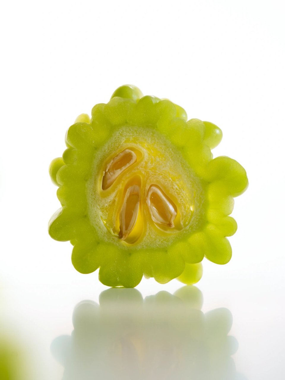 食物摄影|苦瓜真的有一副苦瓜脸 苦瓜切片的样子 你见过吗