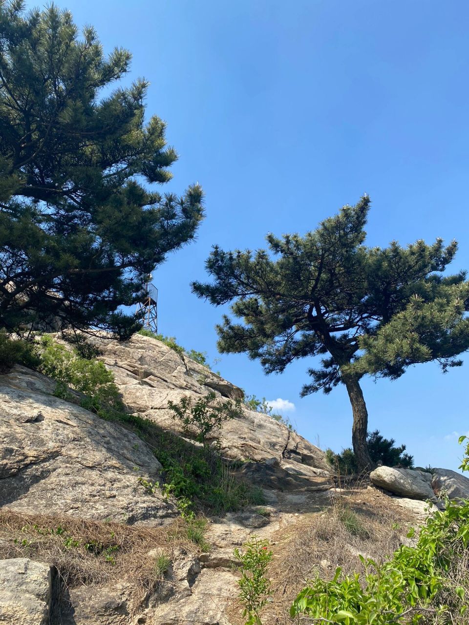 临沭苍马山门票图片