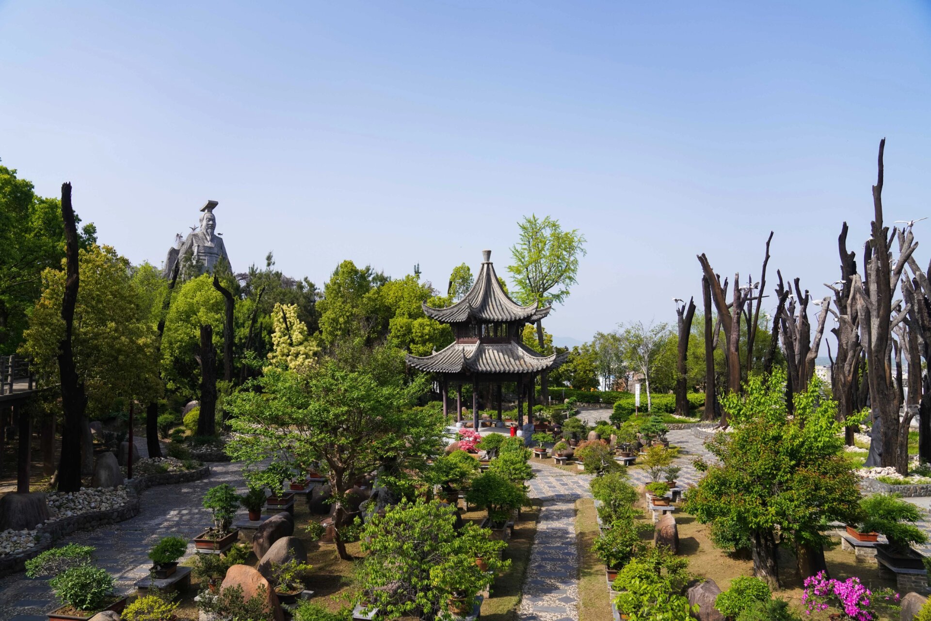 美好安庆|五千年文博园  好"戏"连台 ·向春而行 山水宜城,遇见美好