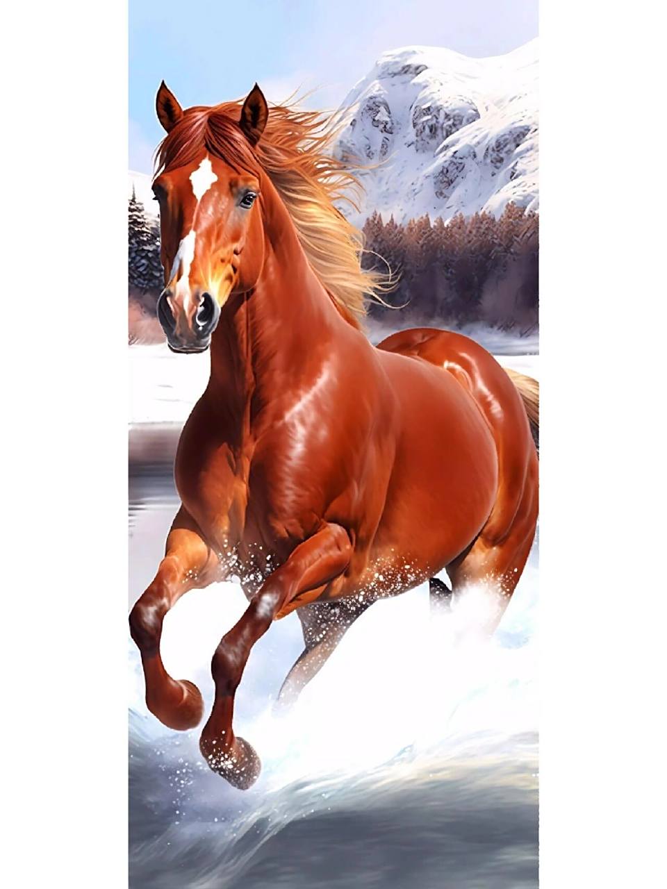 96马到成功 高清壁纸分享 骏马高清壁纸系列 祝你马到成功96喜欢