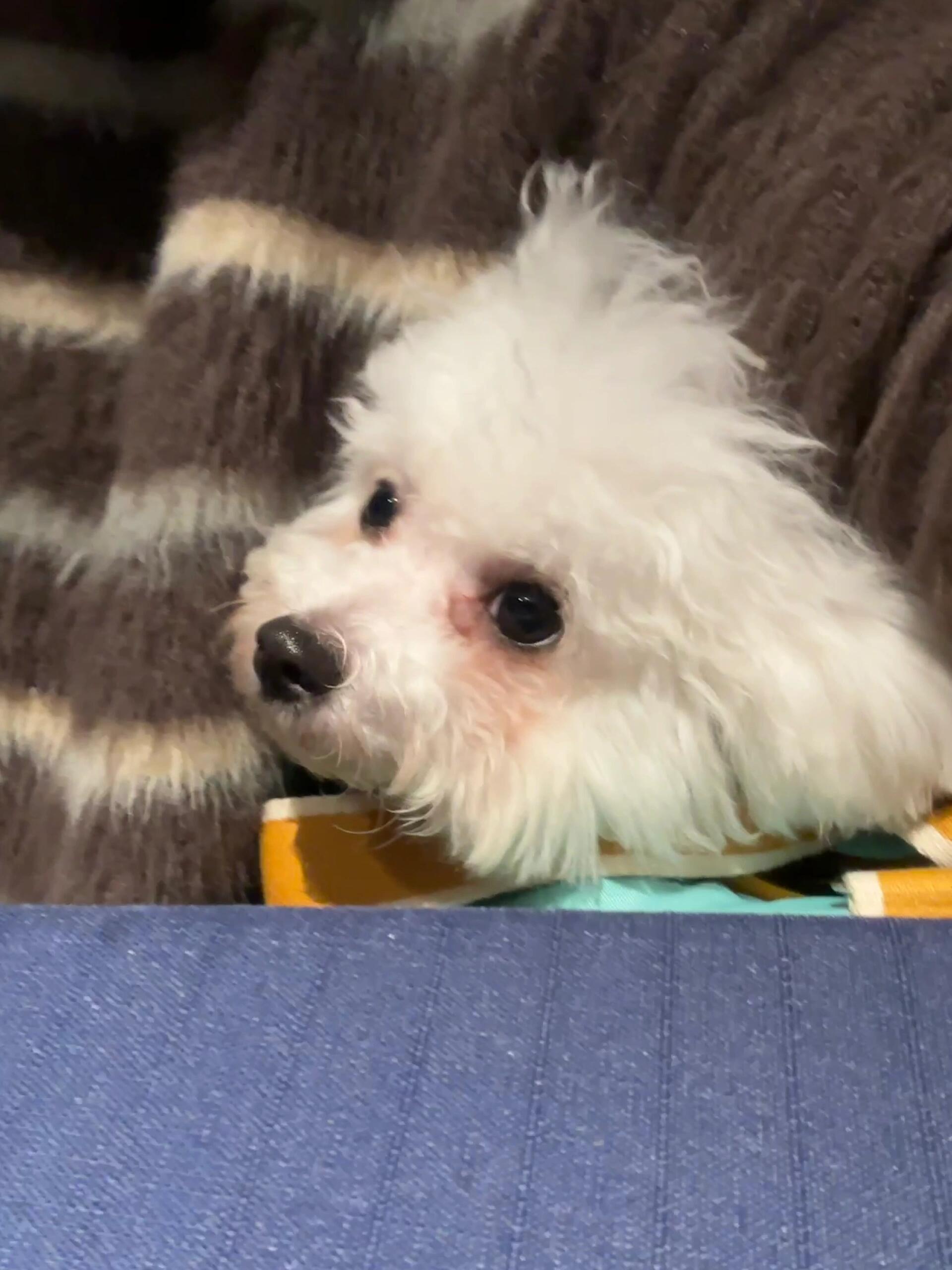 胳肢窝底下长出了白色腋毛