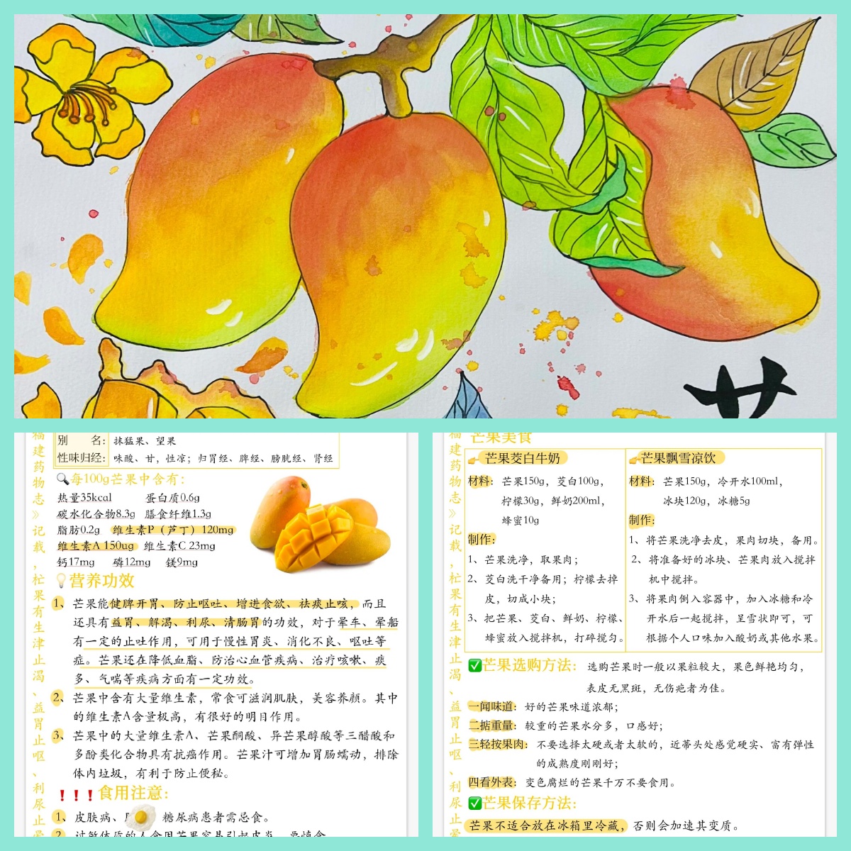 健脾开胃:芒果能促进消化,增进食欲,适合食欲不振的人群食用