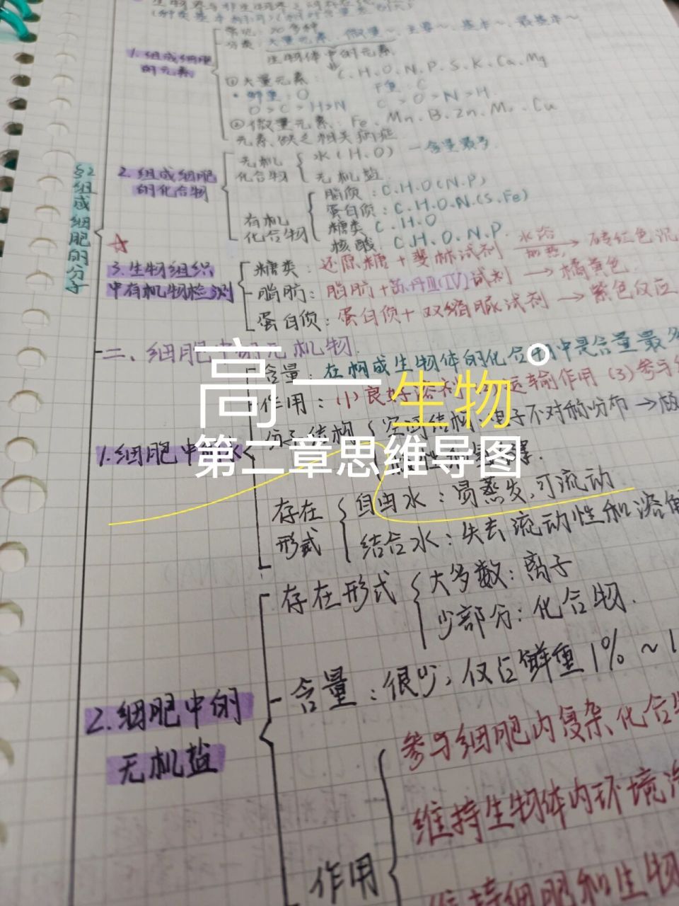 高一生物74第二章思维导图~      来晚啦