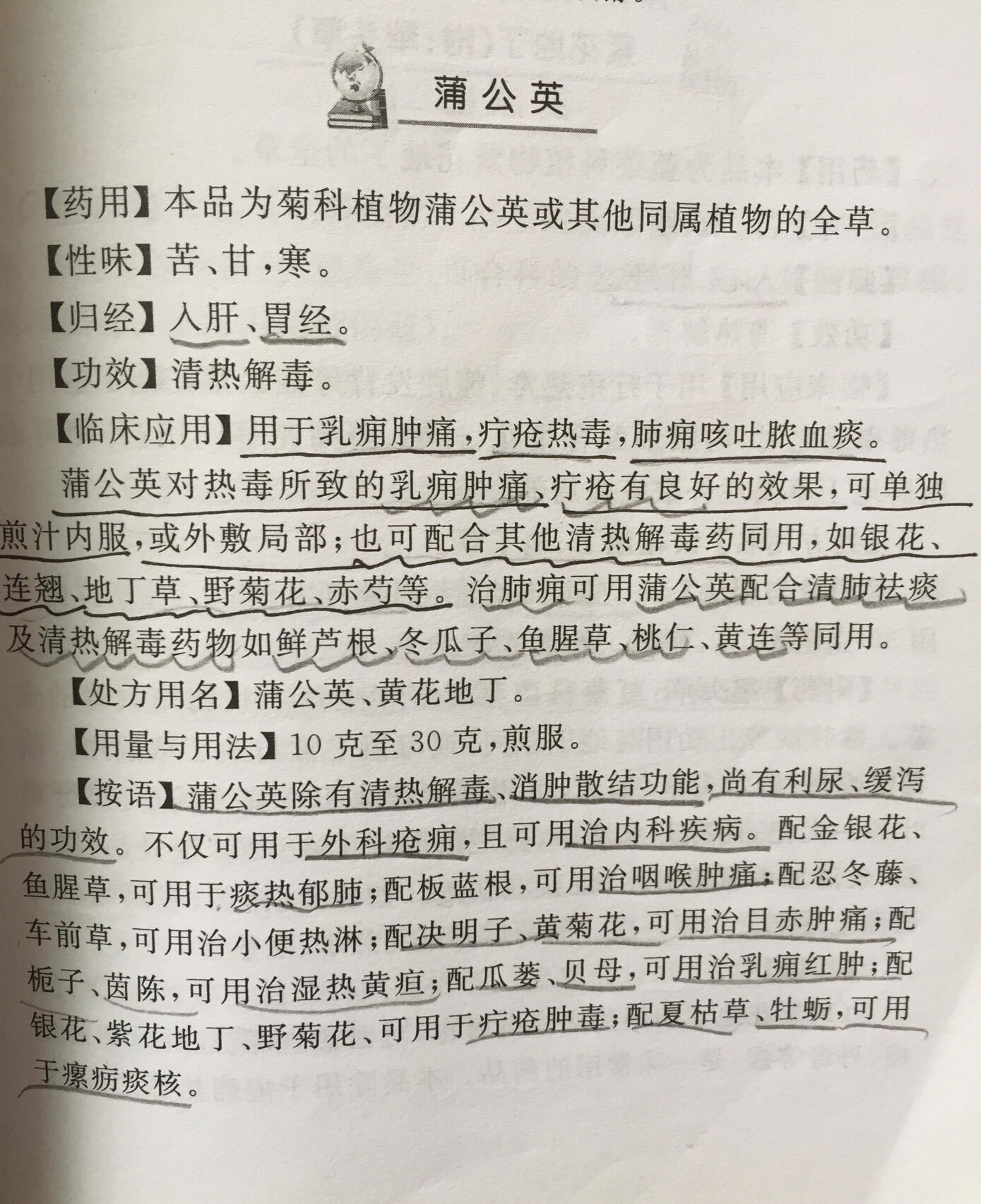 蒲公英归经图片