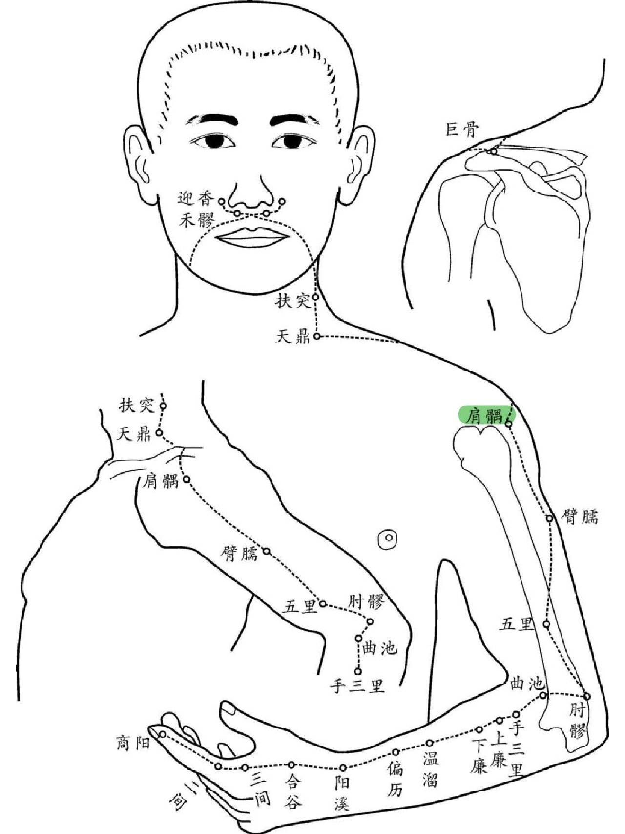 肩髃定位的准确位置图片