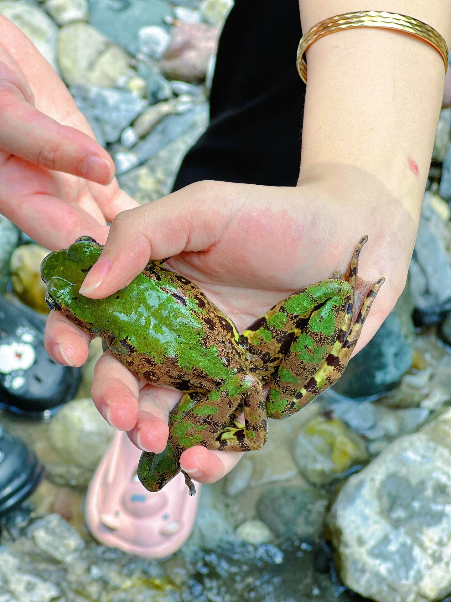 23°c宝藏避暑地——眉山洪雅黑山村