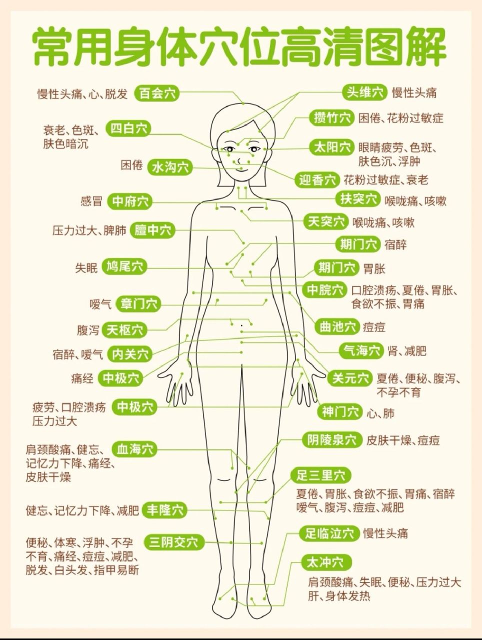 女性经络图及功用解析图片