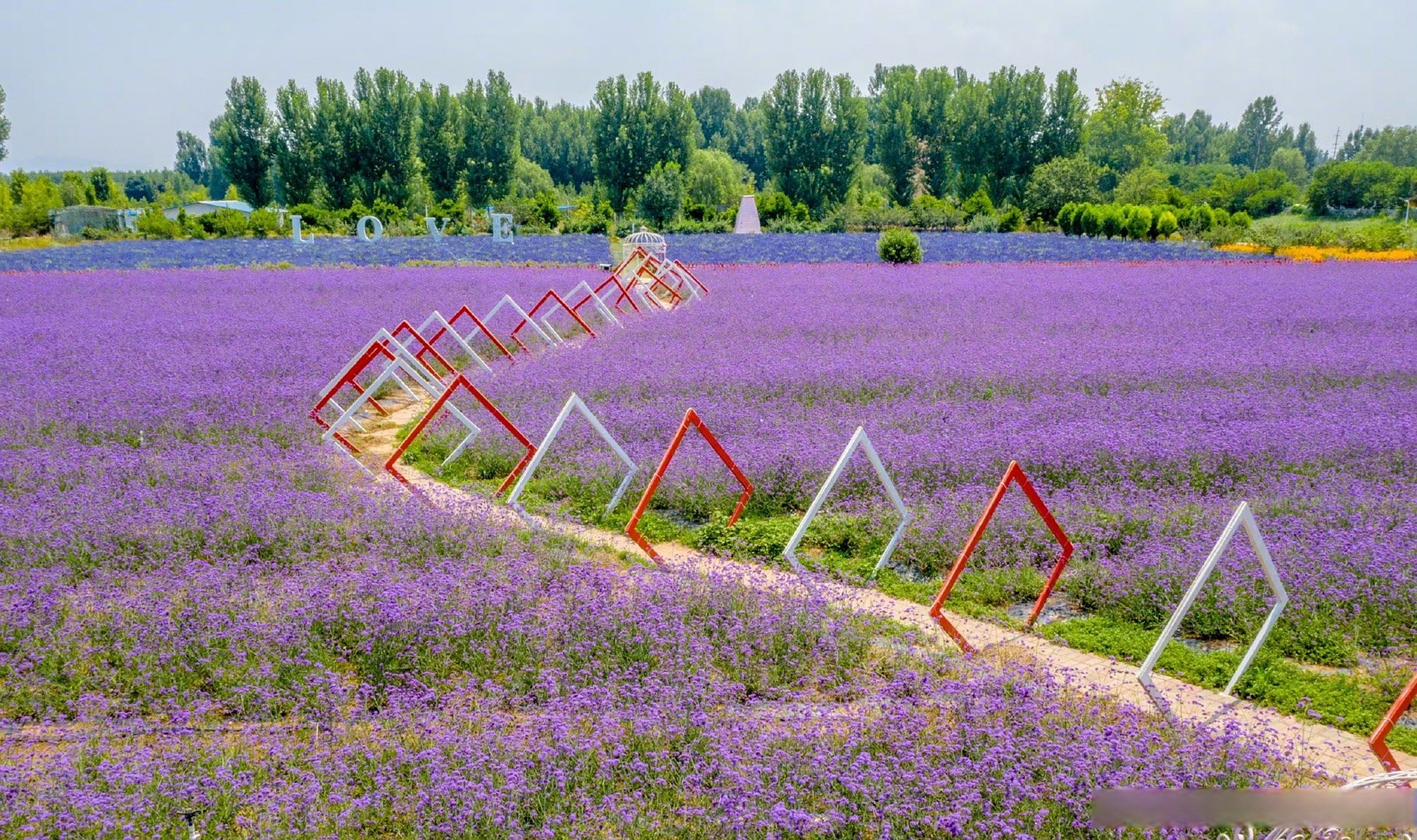 遇见醉美济南# 章丘香草园 捕鱼达人007