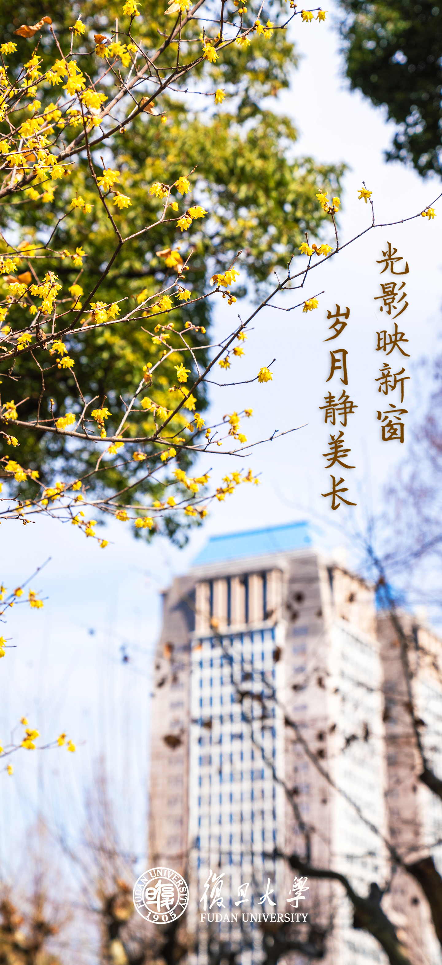 复旦大学壁纸励志复旦大学壁纸励志壁纸复旦照片壁纸复旦大学竖屏壁纸