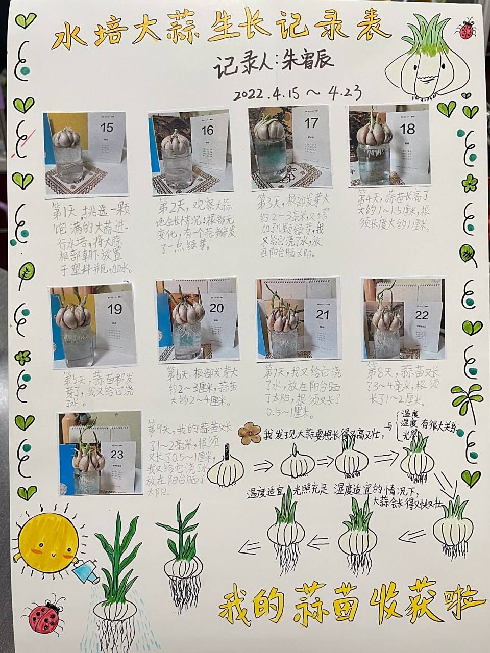 二年级数学,水培大蒜记录 最近的大蒜都不发芽,什么情况啊,前后换了几