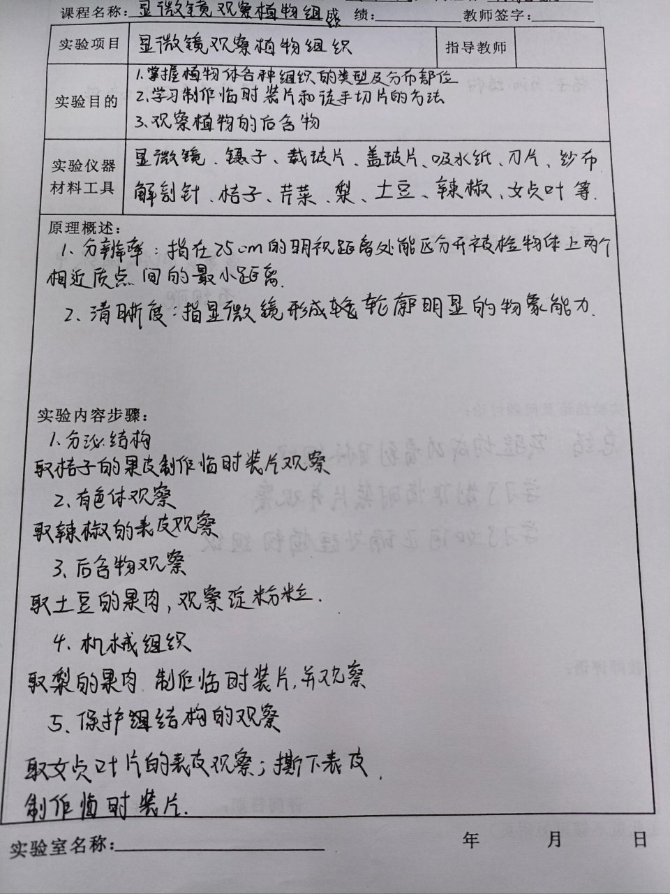 观察花的结构实验报告图片