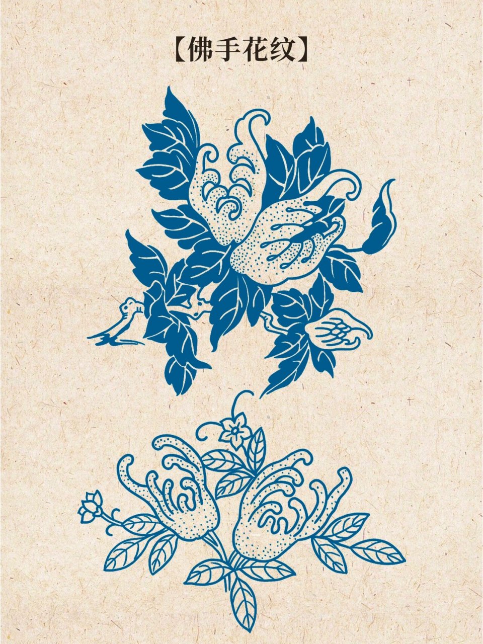 每日一画|中国传统纹样图案|佛手花纹样 【介绍】佛手又名佛手柑;形状