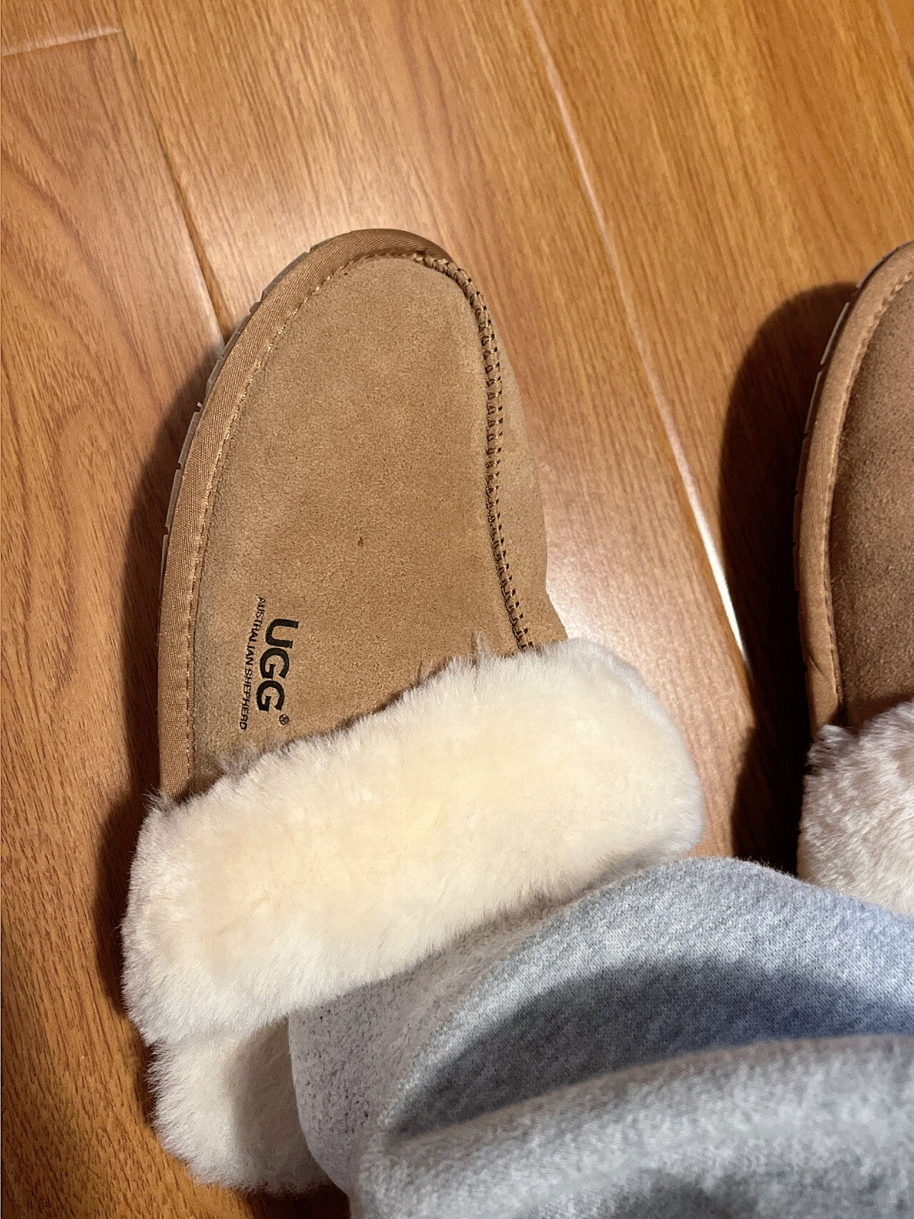 Купить копию брендовой сумки-ugg Американская или 