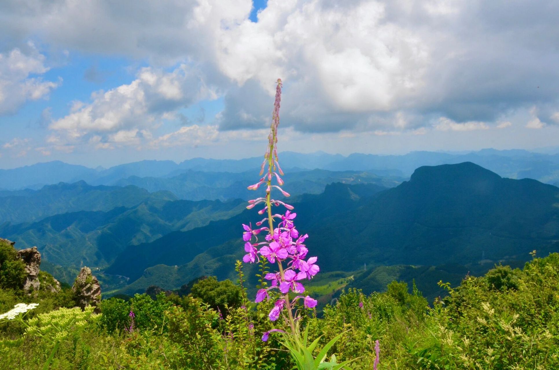 亲子游——房山百花山最详细攻略75 周末约了娃的小闺蜜一起爬百花