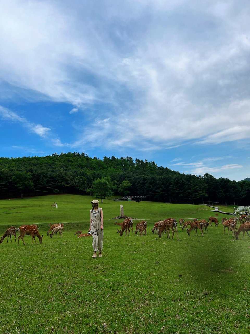 伊春 金山鹿04苑 金山鹿苑 走进小鹿的童话世界 天然氧吧