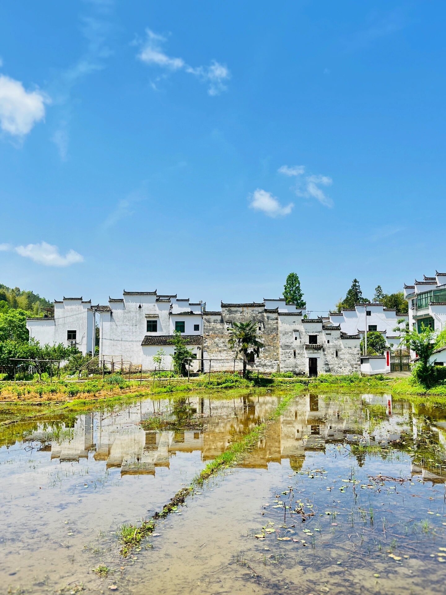 婺源漳村,世界上zui长板凳桥,田园牧歌古村 漳村位于婺源县思口镇