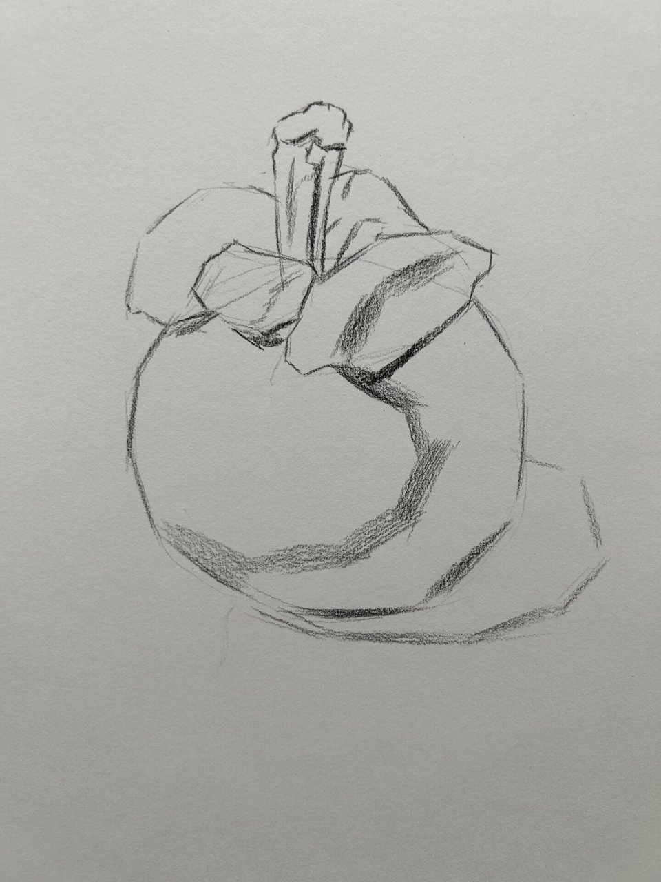 素描基础静物 山竹 图文步骤 素描单体静物,苹果画吐了就换个物体练习