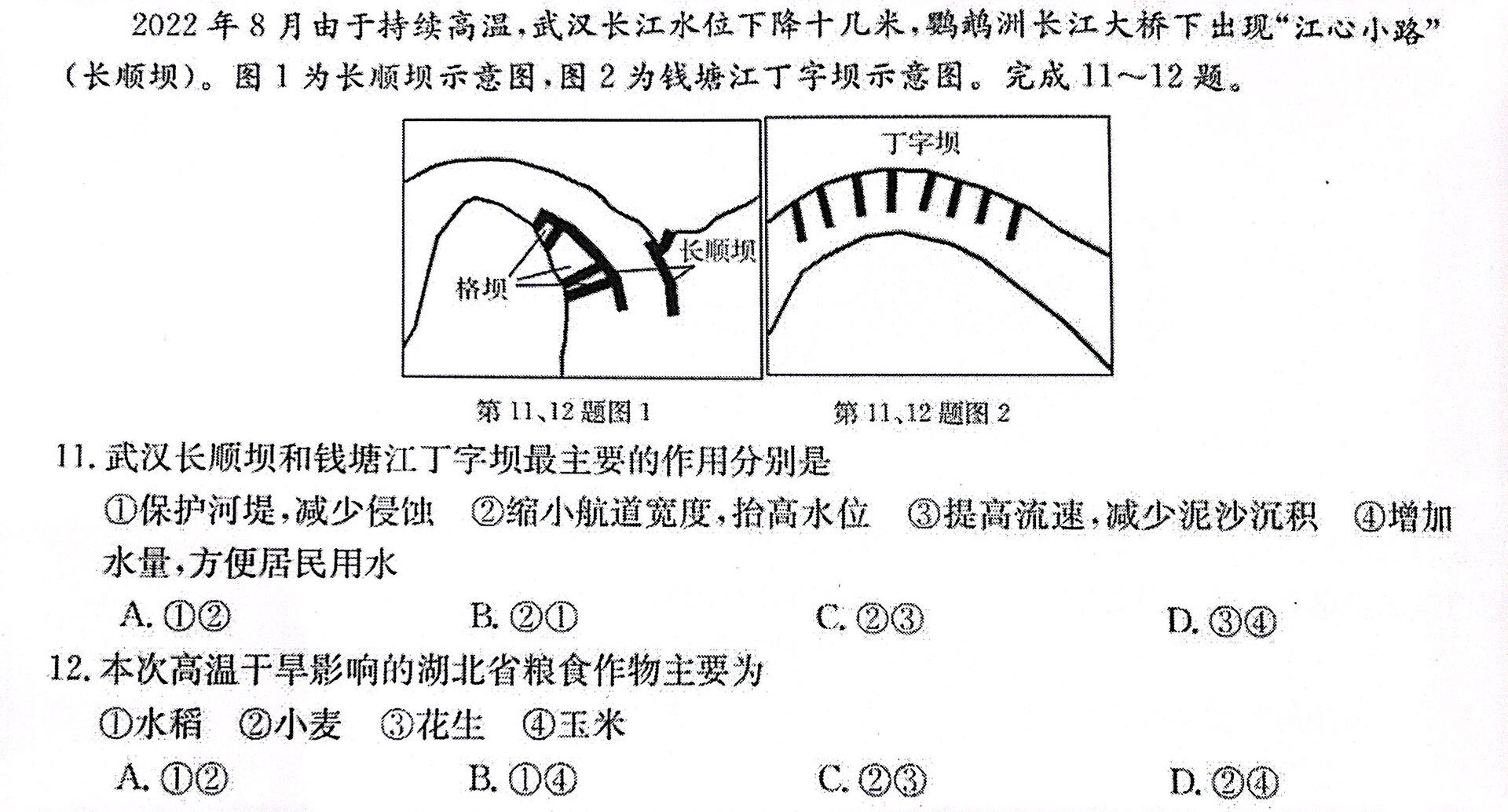 梳齿坝图解图片