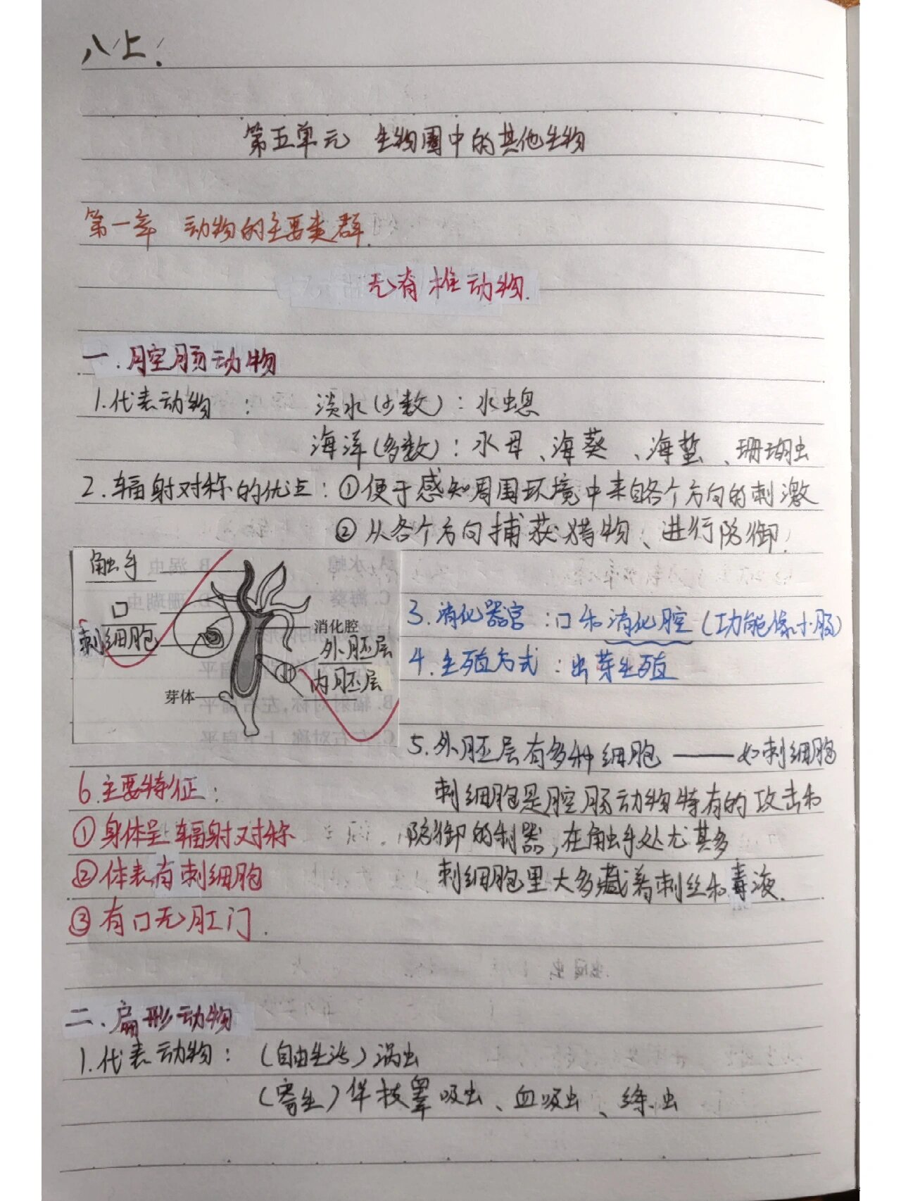 人教版生物 八年级上册 第五单元第一章笔记