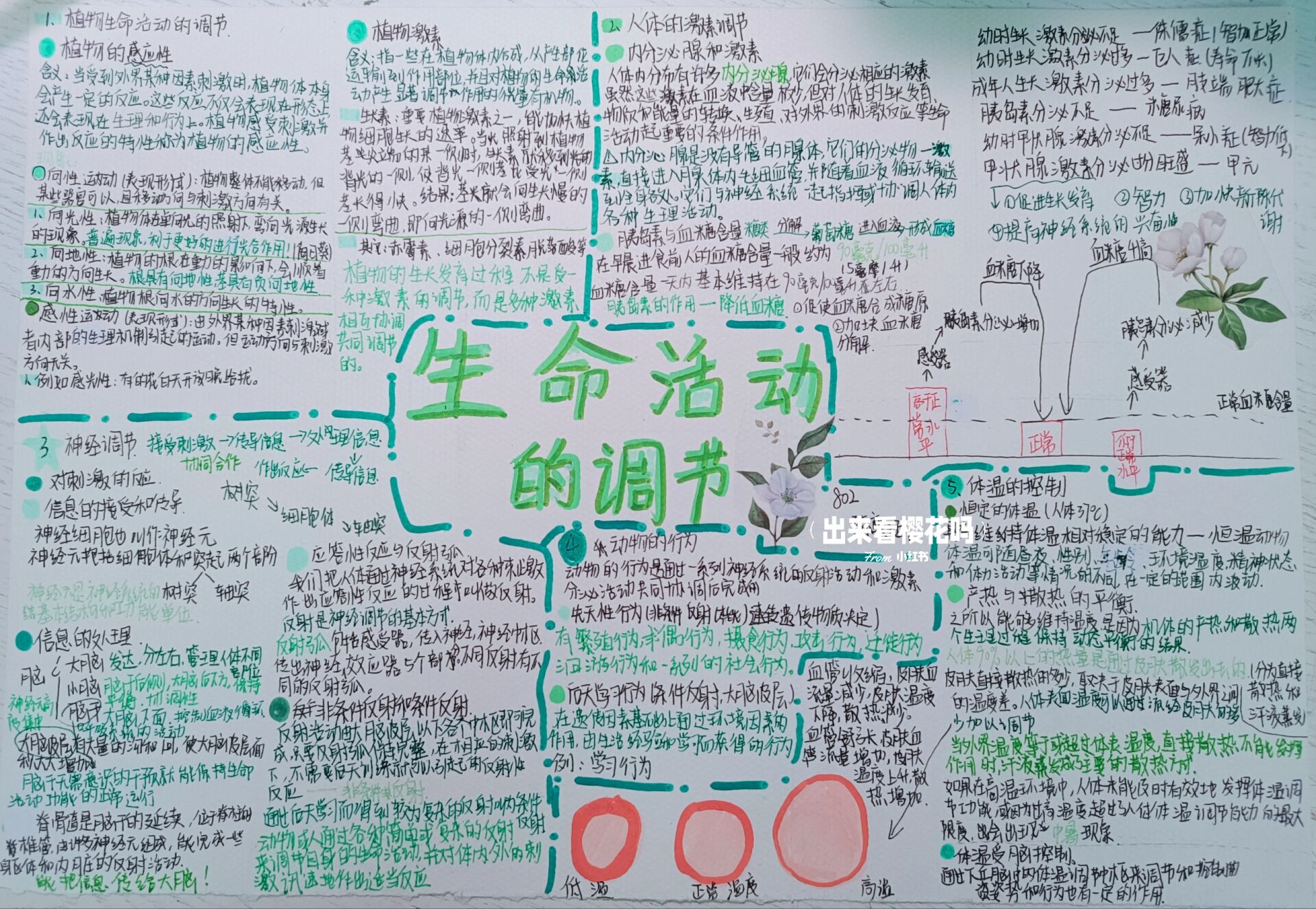 八上浙教版科学第三单元思维导图