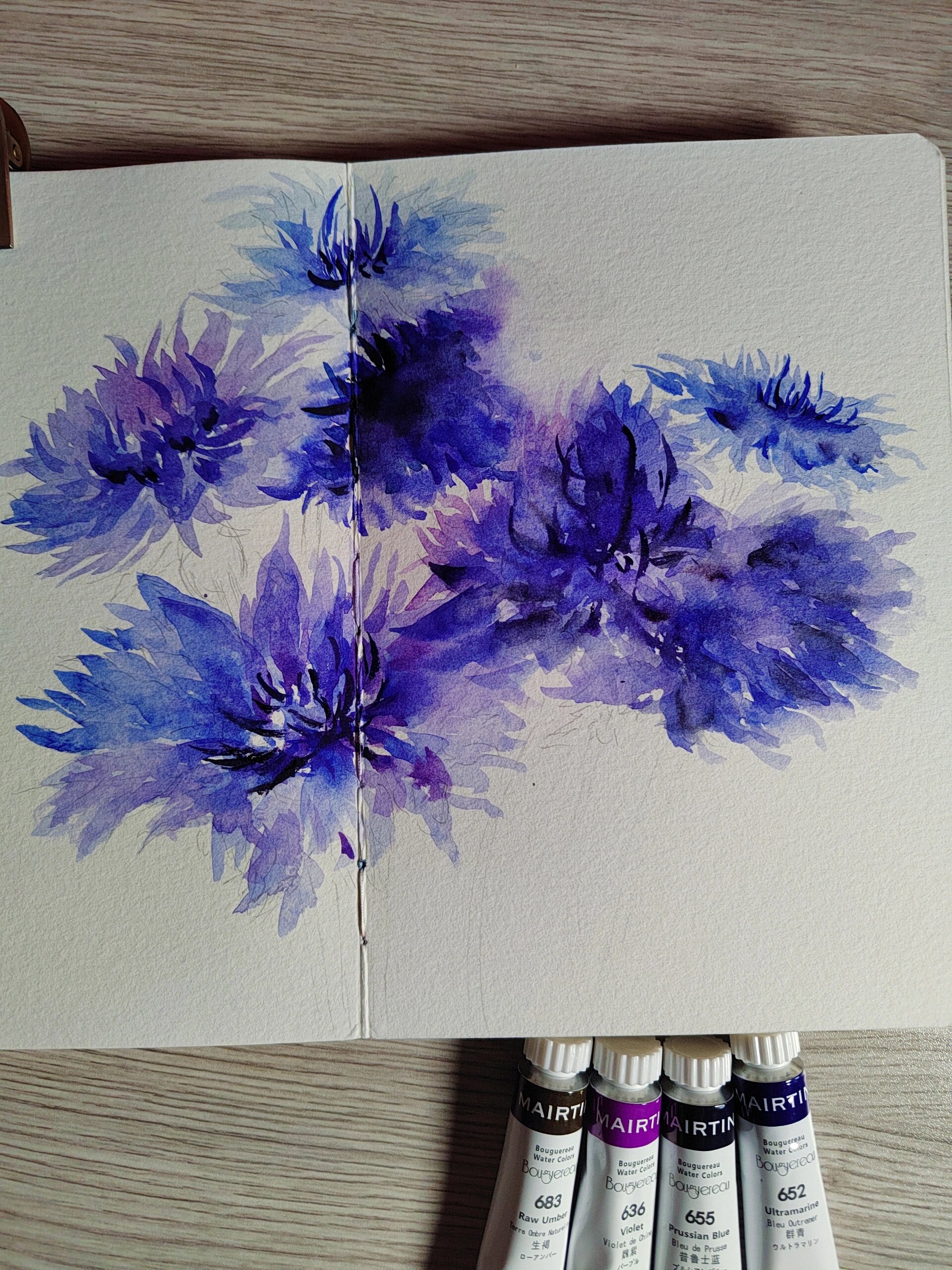 水彩|矢车菊