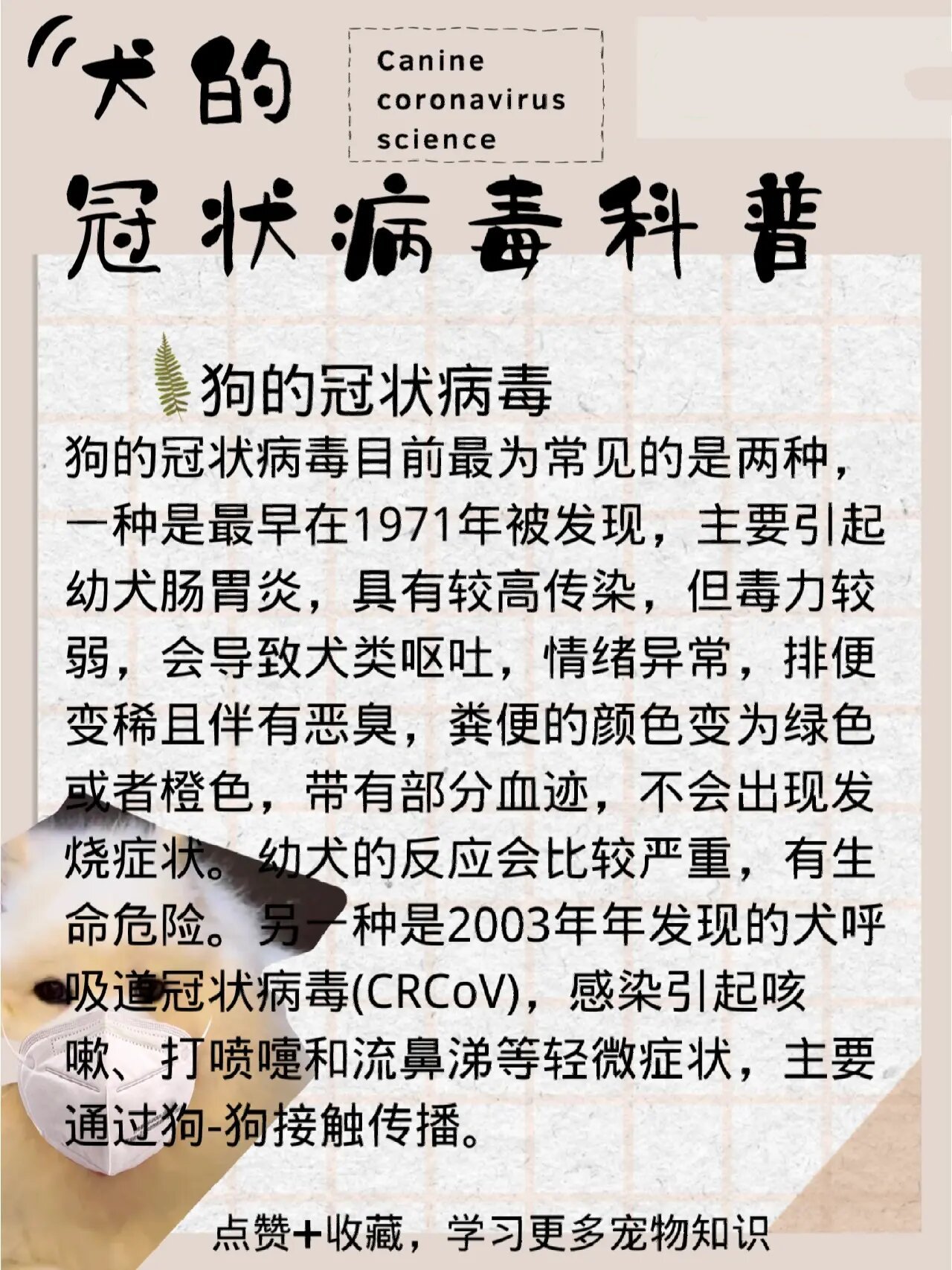 73一,狗的冠状病毒 狗的冠状病毒目前最为常见的是两种,一种是最早