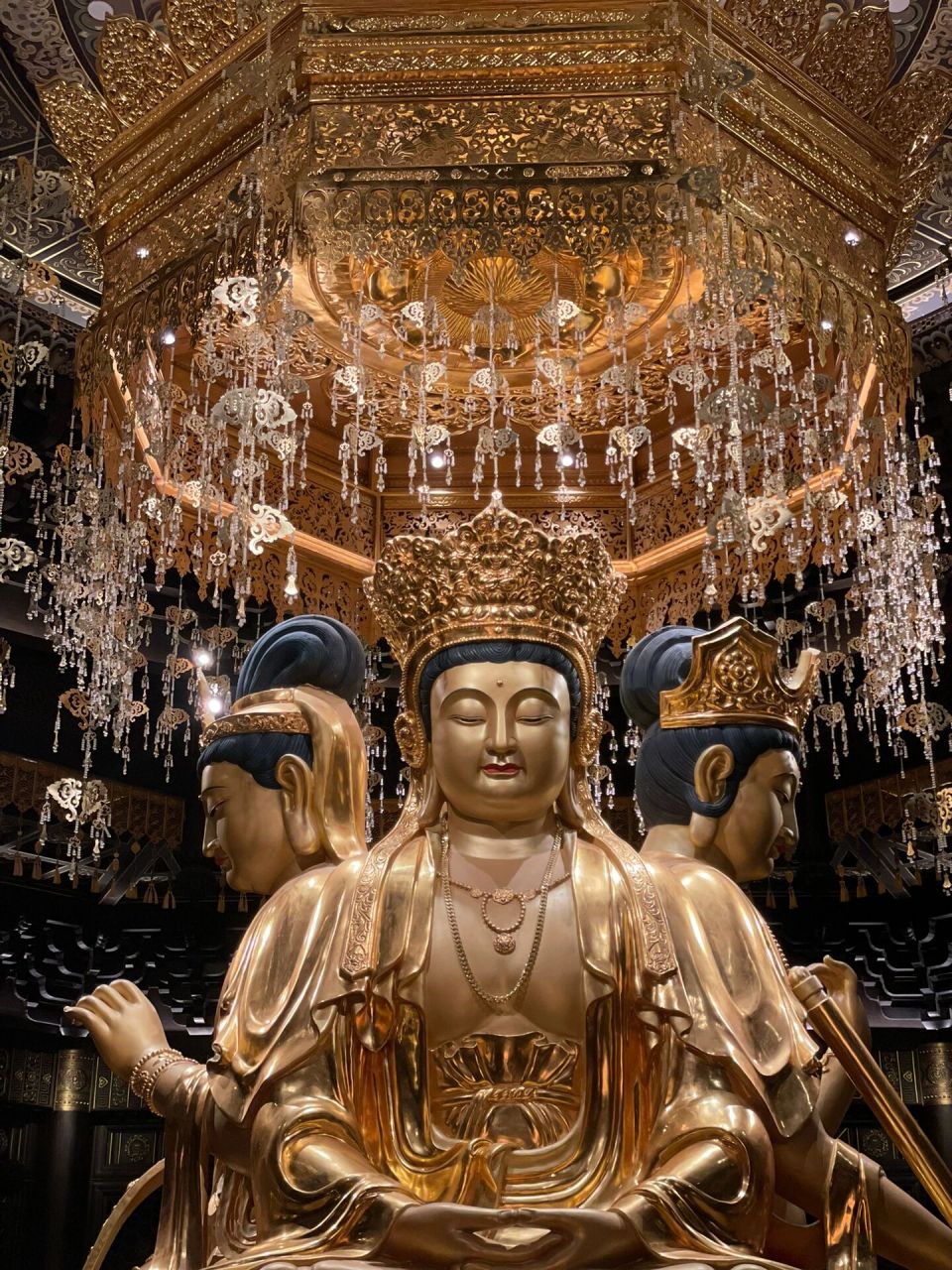 普陀山观音法界 来了就好,越来越好7015