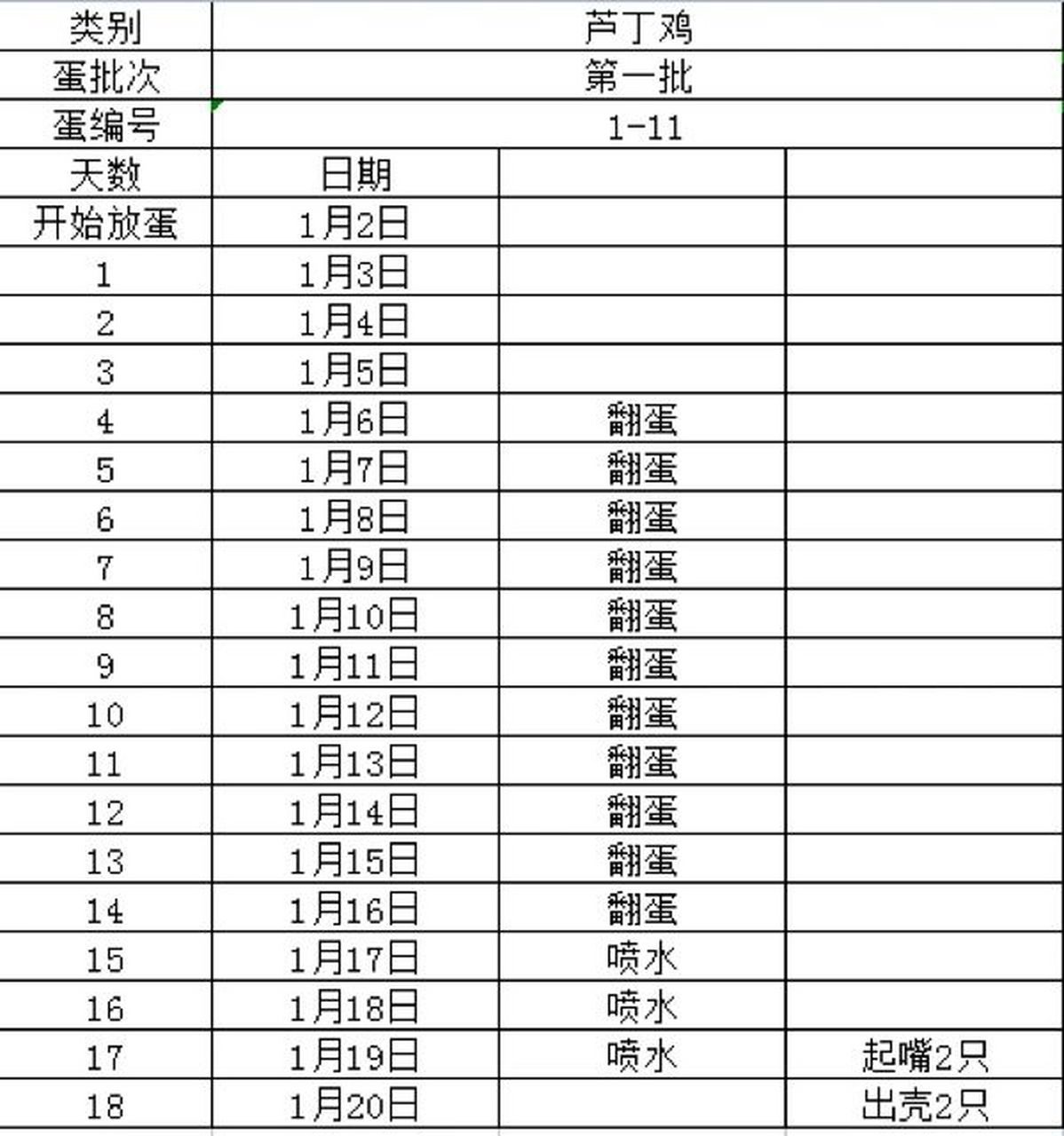(11只04出壳2 孵化器:老韩孵化器 	 控温:1～17天温度恒定37.
