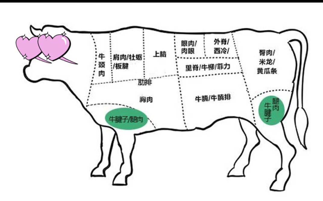 牛肉位置图解图片