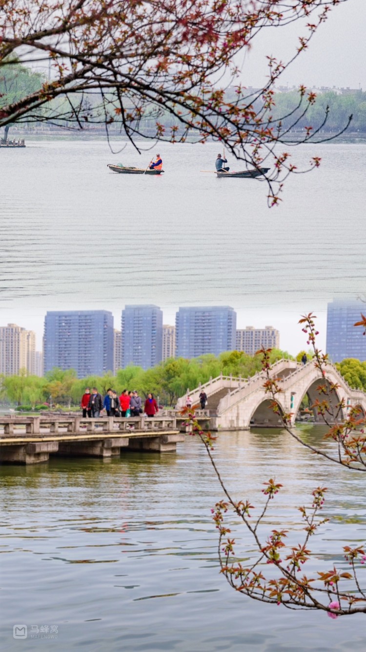 超美的瓜渚湖樱花园,看绍兴的"太子湾公园"郁金香🌷