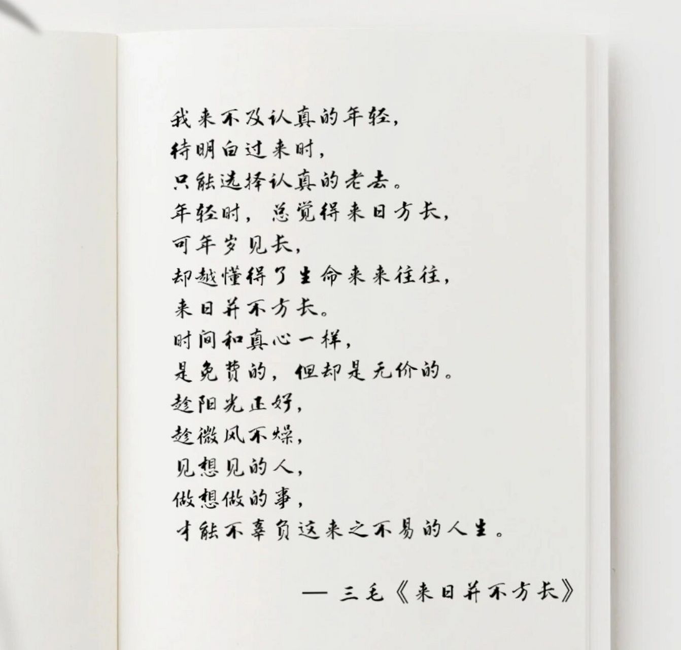 三毛  :  生命来来往往,来日并不方长 不曾认真的年轻, 	 此刻开始