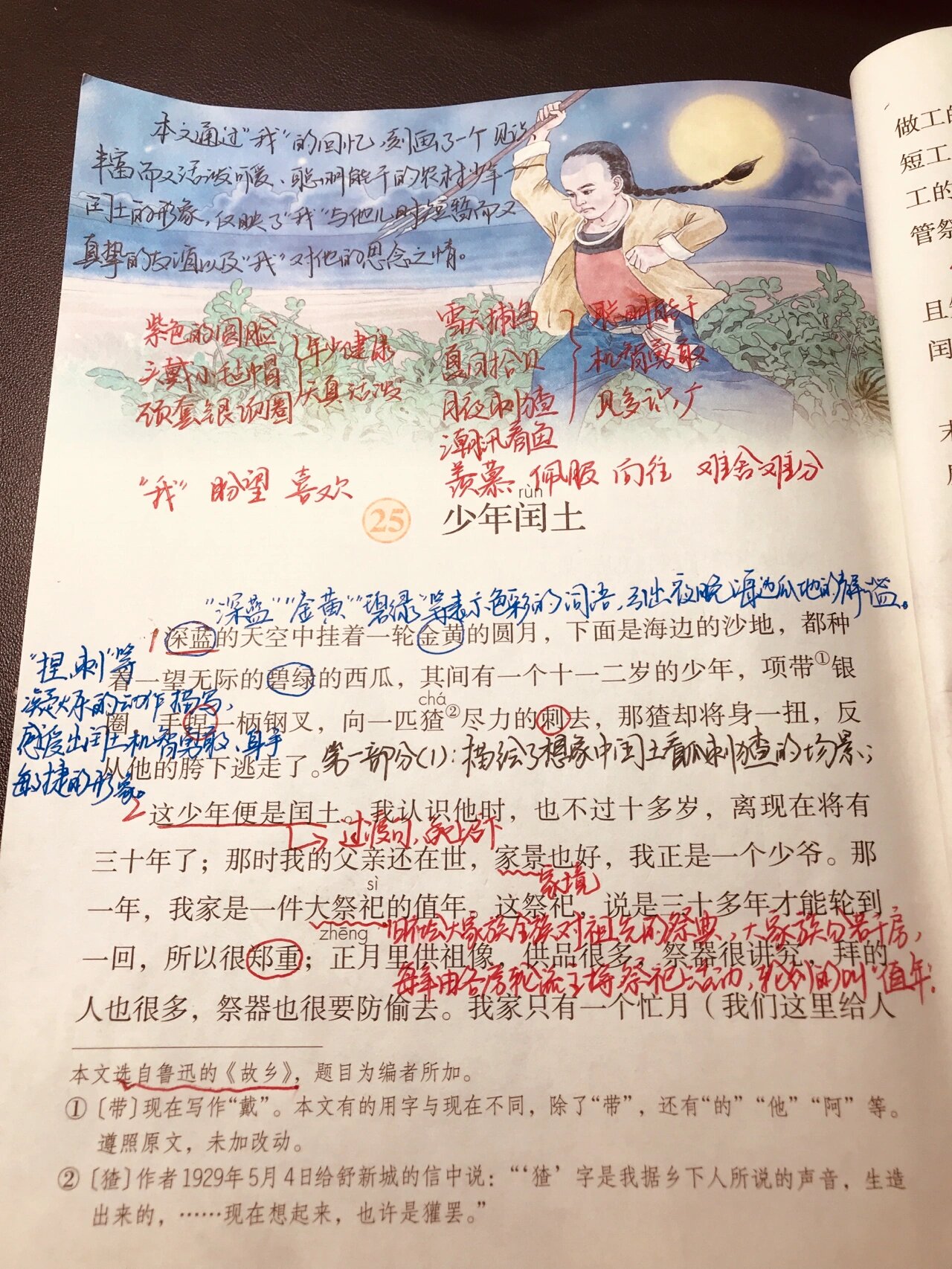 《少年闰土》课堂笔记图片