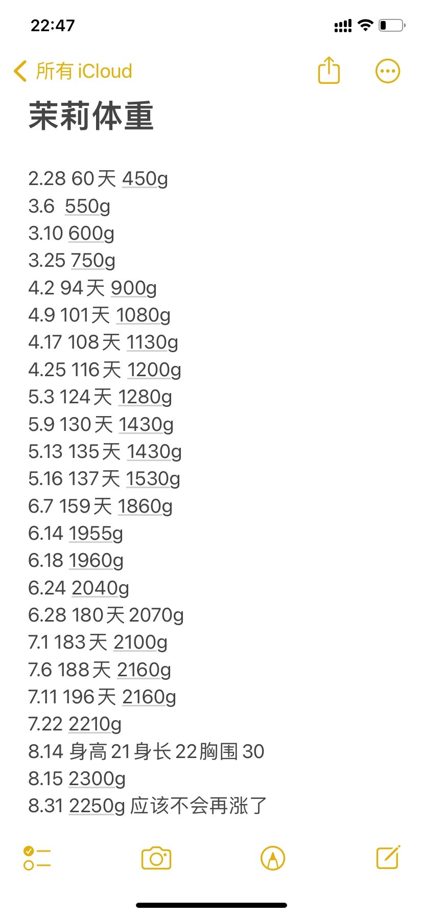 小体比熊体重记录