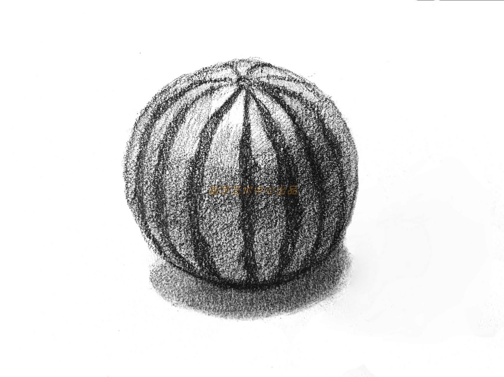 素描西瓜绘画教程,6步教你画西瓜 学画画就上画学艺术 如何画西瓜?