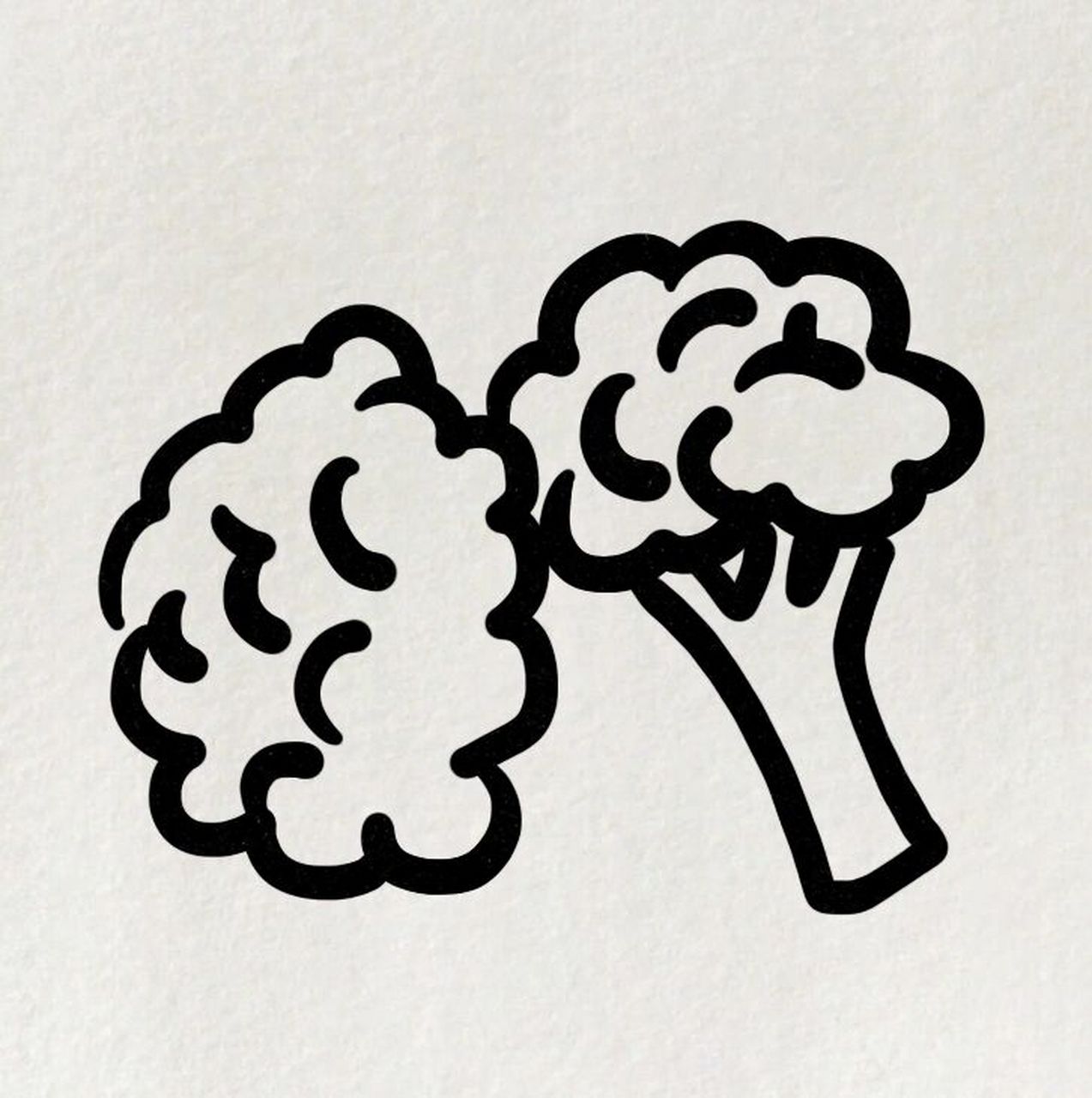 西兰花06的简笔画教程