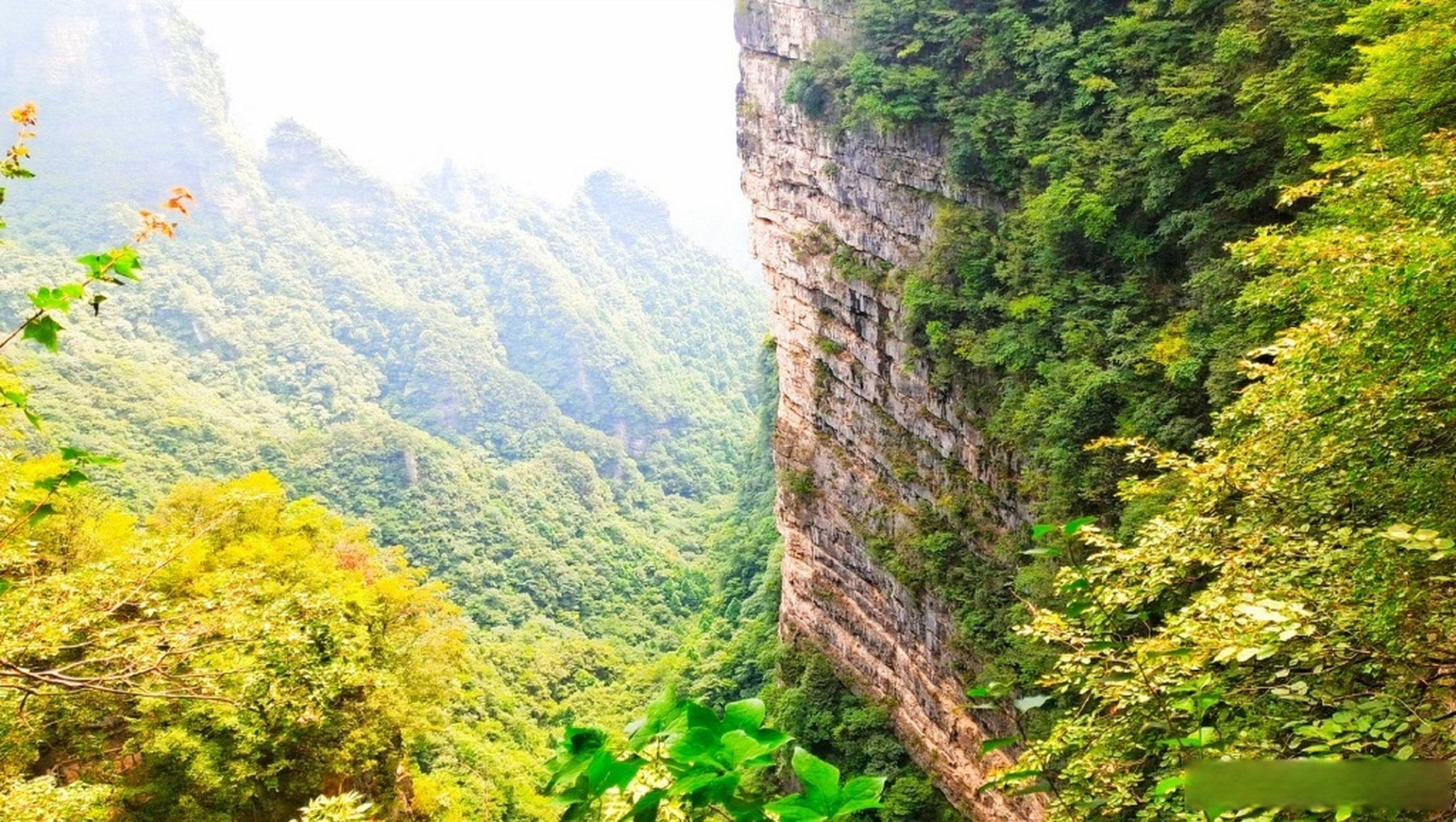 灵秀湖北随手拍#柴埠溪大峡谷自然风景区,位于宜昌五峰土家族自治县