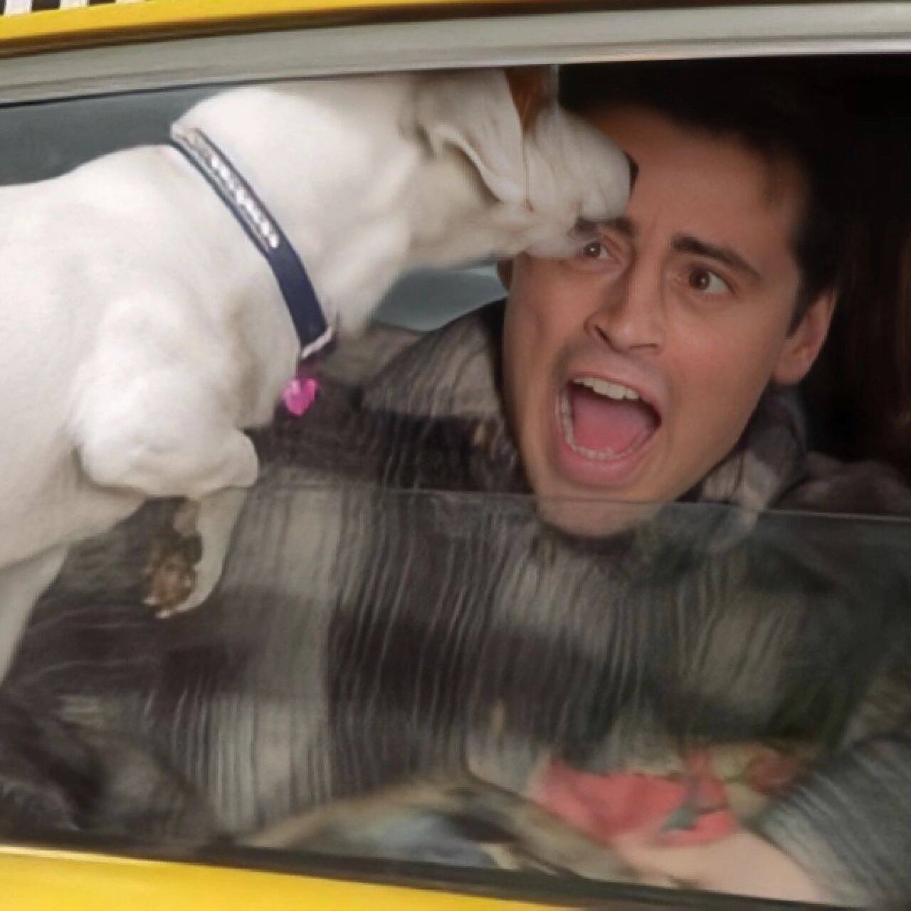 99老友记头像 奇奇怪怪可可爱爱的joey 老友记最喜欢最喜欢joey啦!