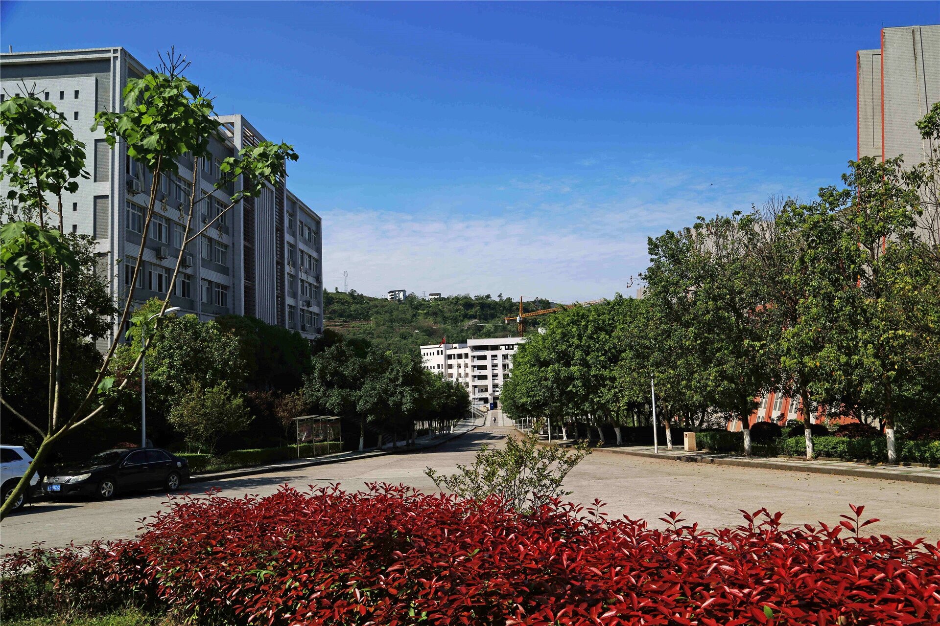重庆万州技师学院(重庆万州高级技工学校)