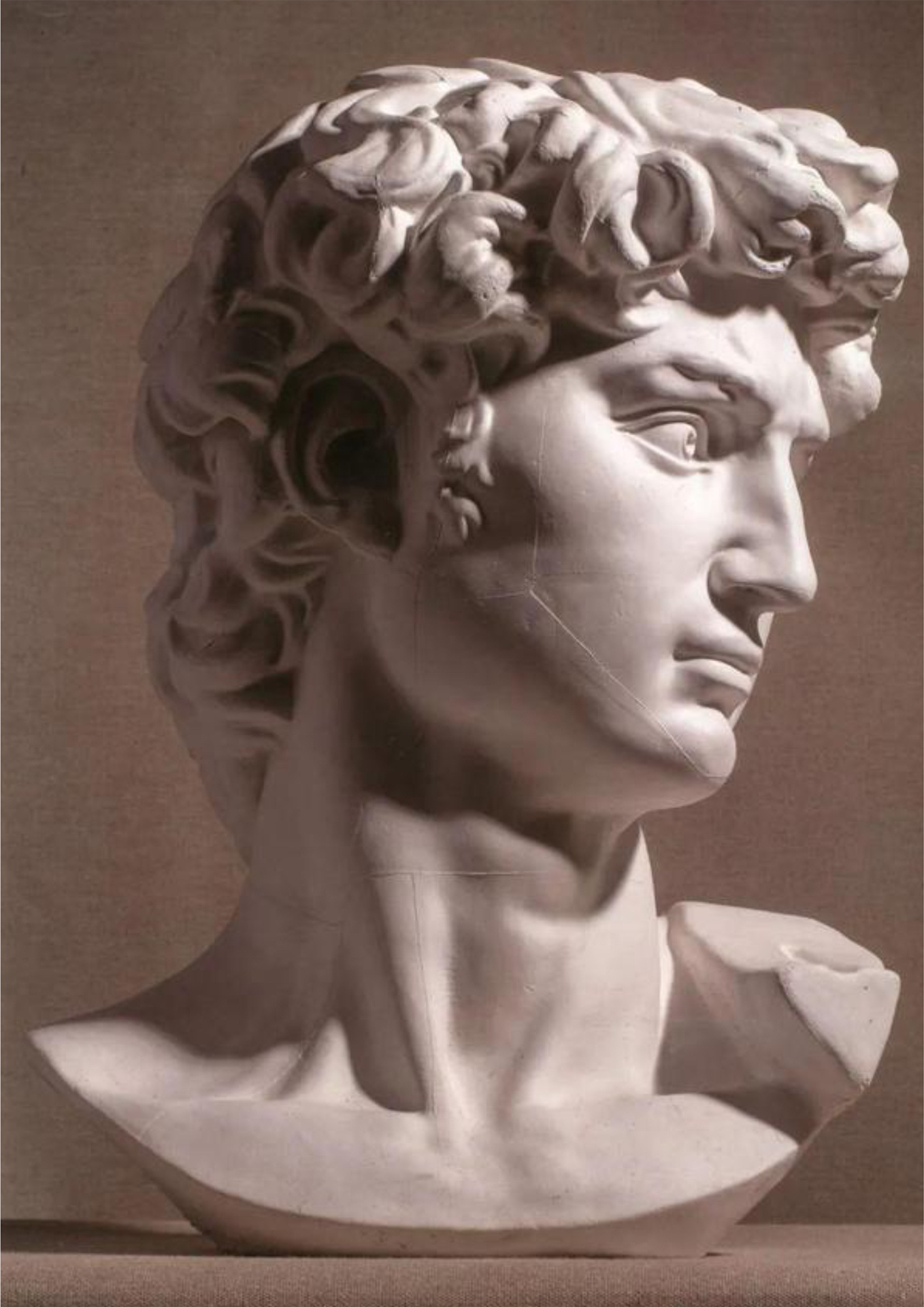 记住这些图,大卫石膏像打型快准狠! 大卫3/4面,正视图晚些更新上来.