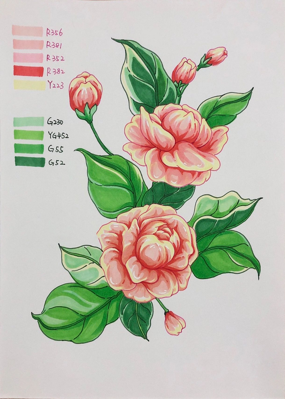 花 素材 万能素材 绘画过程 生态 植物 快题 单体绘画步骤图 1,铅笔起