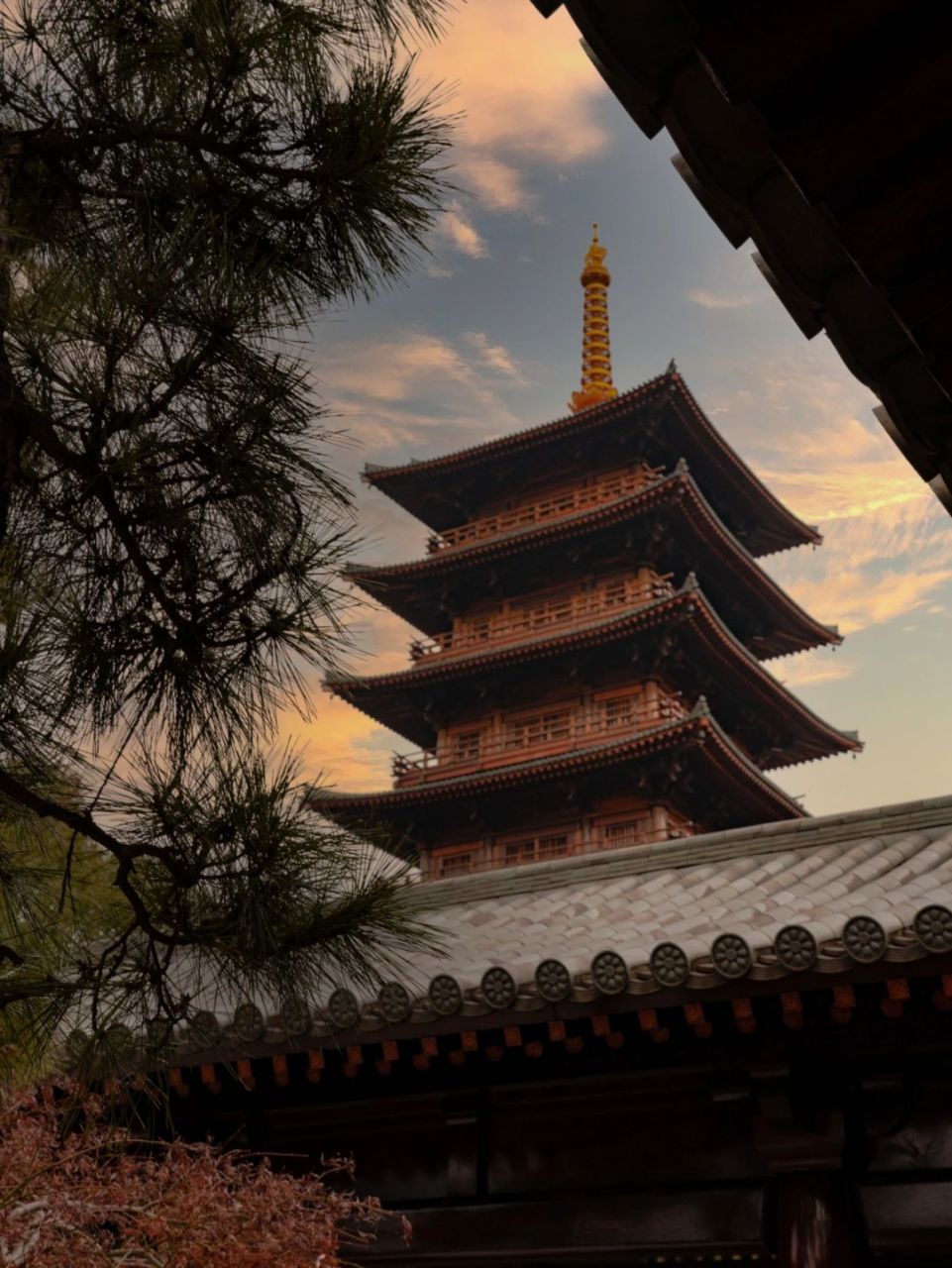 75上海宝山|梦回大唐,宝山净寺追逐日落 趁着日落前,来到了出片圣地