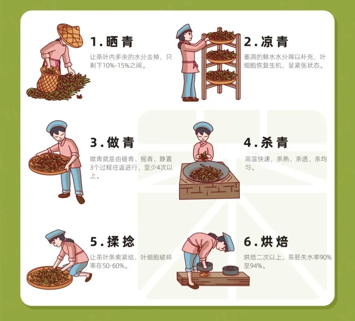 🍃🍃🍃凤凰单丛茶制作流程