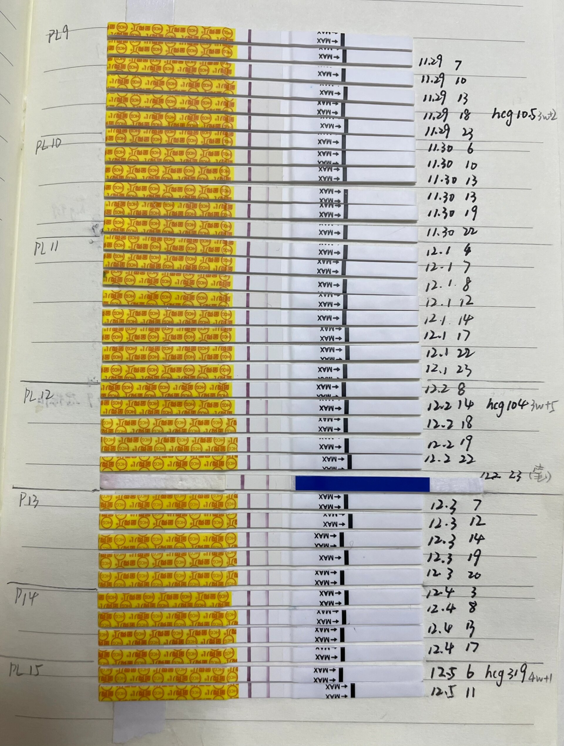 第5季早孕试纸对照图图片